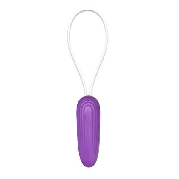 Vibrador Bullet de Longa Distância Controle via aplicativo com 9 modos de vibração - Roxo - Image 4