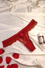 Calcinha em renda sexy rubi com elástico personalizado na cintura - Imagem 3